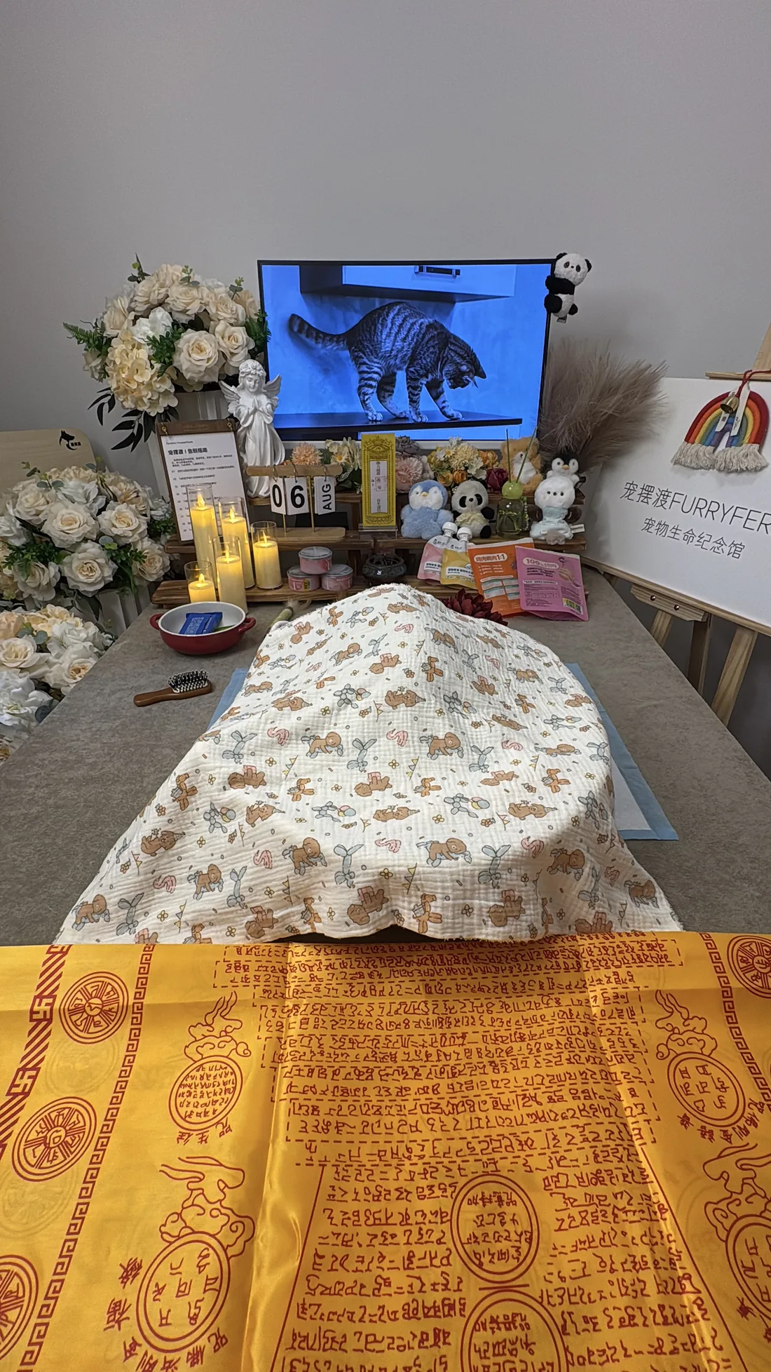 深圳宠物告别仪式中的鲜花与纪念照片